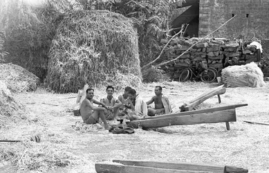 LAVORAZIONE DELLA CANAPA, PAUSA PRANZO DEI MACIULLATORI