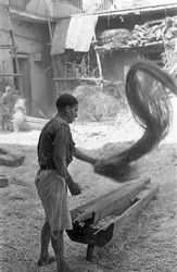 LAVORAZIONE DELLA CANAPA, ELIMINAZIONE DELLE SCORIE