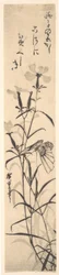 Stampa in bianco e nero di una farfalla e di un fiore rosa
