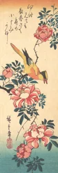 Ballerina Grigia Orientale e Rosa, primi anni 1830