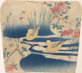 Gabbiani incappucciati e fiori di ciliegio, probabilmente 1850-62