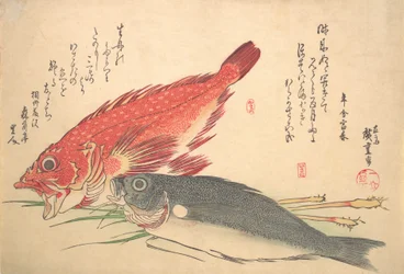 Isaki e pesce Kasago, dalla serie Uozukushi Ogni varietà di pesce