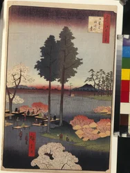 Cento vedute famose di Edo: Scogliera di Suwa a Nippori