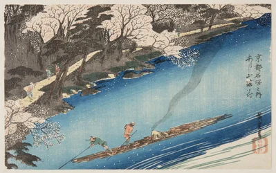 Fiori di ciliegio in piena fioritura ad Arashiyama (stampa xilografica a colori)
