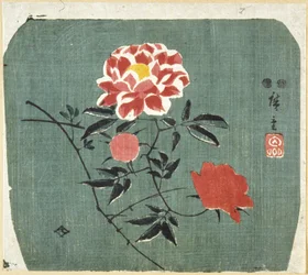 Stampa di ventaglio: Rosa