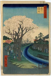 Spettatori che osservano i fiori di ciliegio lungo le rive del fiume Tama a Edo, xilografia di Ando Hiroshige