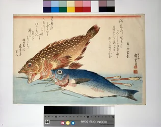 Pesce scorpione e pesce isaki con zenzero di radice