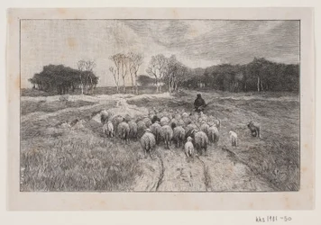 Paesaggio con pecore e pastore