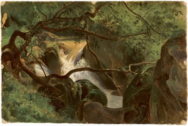 Interno della foresta con una cascata, Papigno