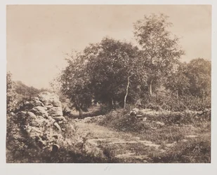 Scena senza titolo di Fontainbleau, c. 1853