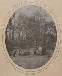 Scena di villaggio (sud della Francia)