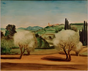 Paesaggio con ulivi