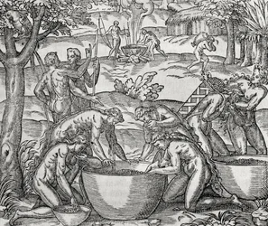 Cap de Frie, donne che preparano cibo, incisione, Sud America