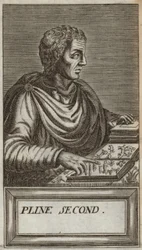 Gaio Plinio Cecilio Secondo