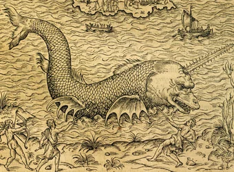 Mostro marino, incisione dalla Cosmologia Universale, di Andre Thevet (1504-1592), Parigi