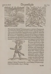 Pagina da 