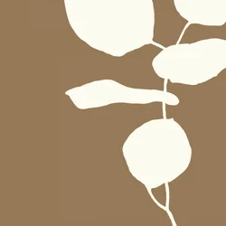 Forme botaniche minimaliste