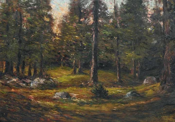 Andrea Tavernier La radura