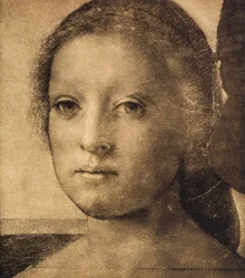Testa di una giovane donna, disegno di Andrea del Sarto. Gabinetto dei Disegni e delle Stampe, Galleria degli Uffizi, Firenze