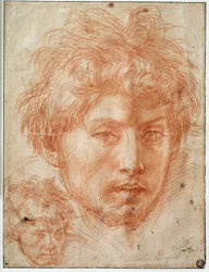Testa di uomo