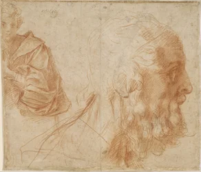 Foglio di studi con un giovane e la testa di un vecchio che guarda a destra (Omero)