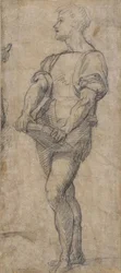 Giovane in piedi con un libro, ca 1515