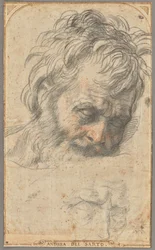 Studio per la testa di San Giuseppe (recto); due studi di gambe (verso)