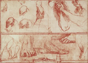 Studio di mani e piedi per l