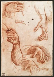 Studio delle mani (disegno a carboncino)