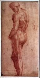 Studio di nudo maschile Disegno a sanguigna di Andrea d