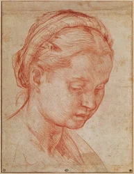 Studio della testa di Santa Caterina per la Deposizione con la Vergine Maria e i Santi al Palazzo Pitti