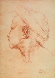Testa di giovane in profilo