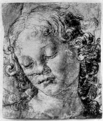La testa di un angelo, XV secolo 1930