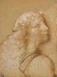 Busto di un giovane, studio per l