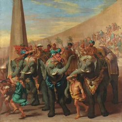 Elefanti in un circo