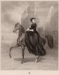 Ritratto equestre di Elisabetta di Baviera (imperatrice d