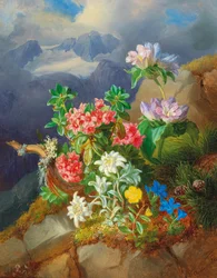 Fiori alpini
