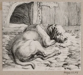 Un cane incatenato che dorme