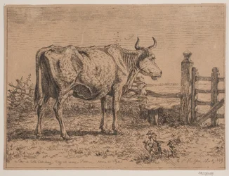 Una mucca in piedi