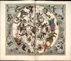 Phillips, 4274 Disponibile anche attraverso il sito della Biblioteca del Congresso come immagine raster. Include indice. Alcune tavole incise da Johannes van Loon. Oltre alle 29 tavole specificate nell
