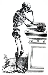 Le tavole dal settimo libro del De Humani Corporis Fabrica