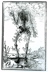 Sistema vascolare del corpo