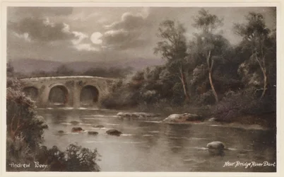 Dartmoor: New Bridge fiume Dart (foto a colori)