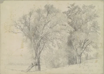 Olmi, Hudson