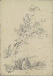 Alberi, Hudson