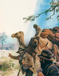 Burke e Wills (litografia a colori)