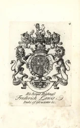 Immagine sconosciuta
