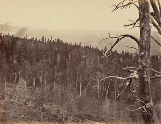 Piastra 13. Linea della neve e del legname, Monti Laramie, 1869 (foto)