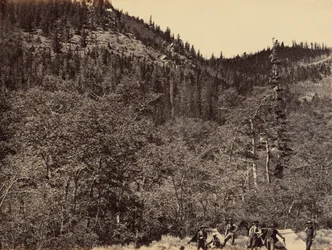 Piastra 19. Tra i legni alla testa del fiume Little Laramie, 1869 (foto)