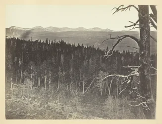Linea della neve e del legname, Medicine Bow Mountain